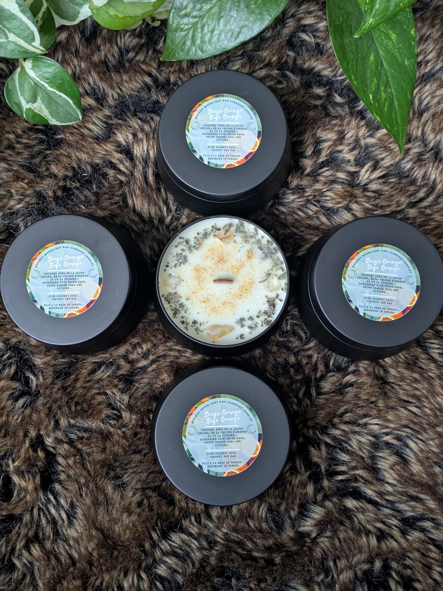 * 2 left * Regular Scent : Sage and orange / 4oz / wood