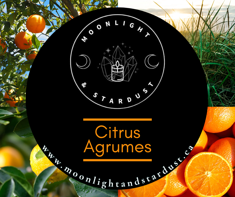 * 1 left * Regular Scent : Citrus / 4oz / Wood wick