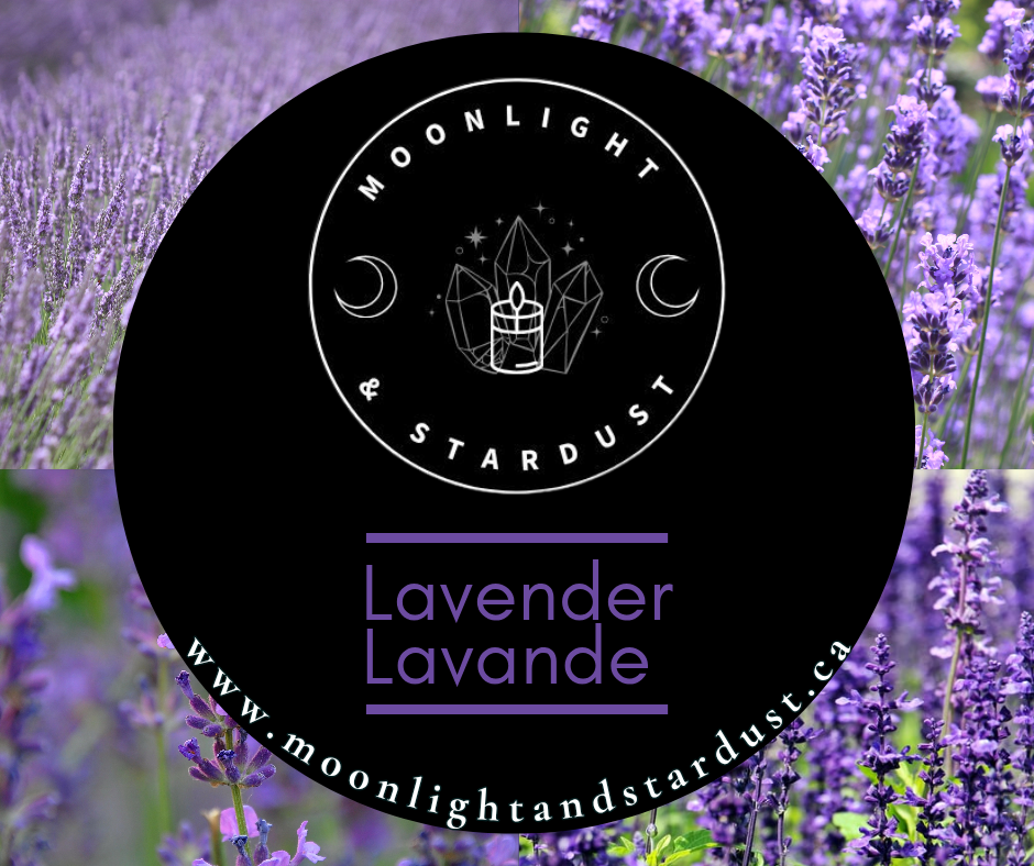 * 1 left * Regular Scent : Lavander / 10oz / Wood wick